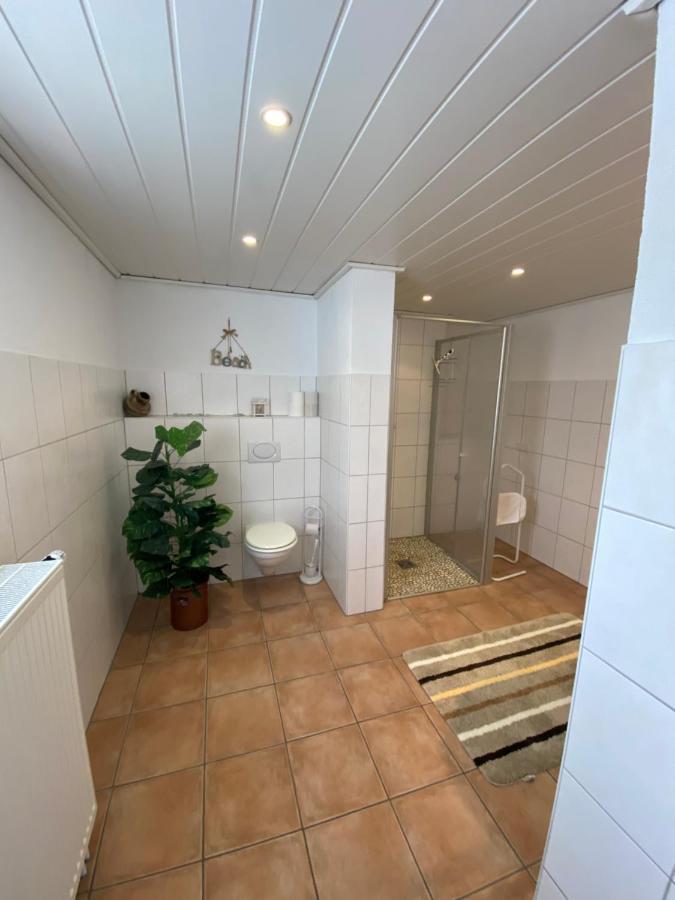 Ferienwohnung-Gasthaus Zum Ross Erlenbach am Main المظهر الخارجي الصورة